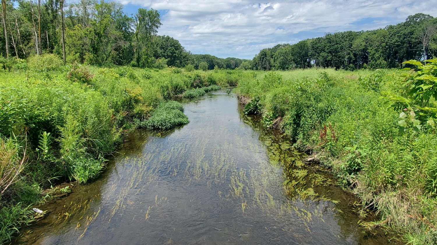 Saint James Forest Preserve 